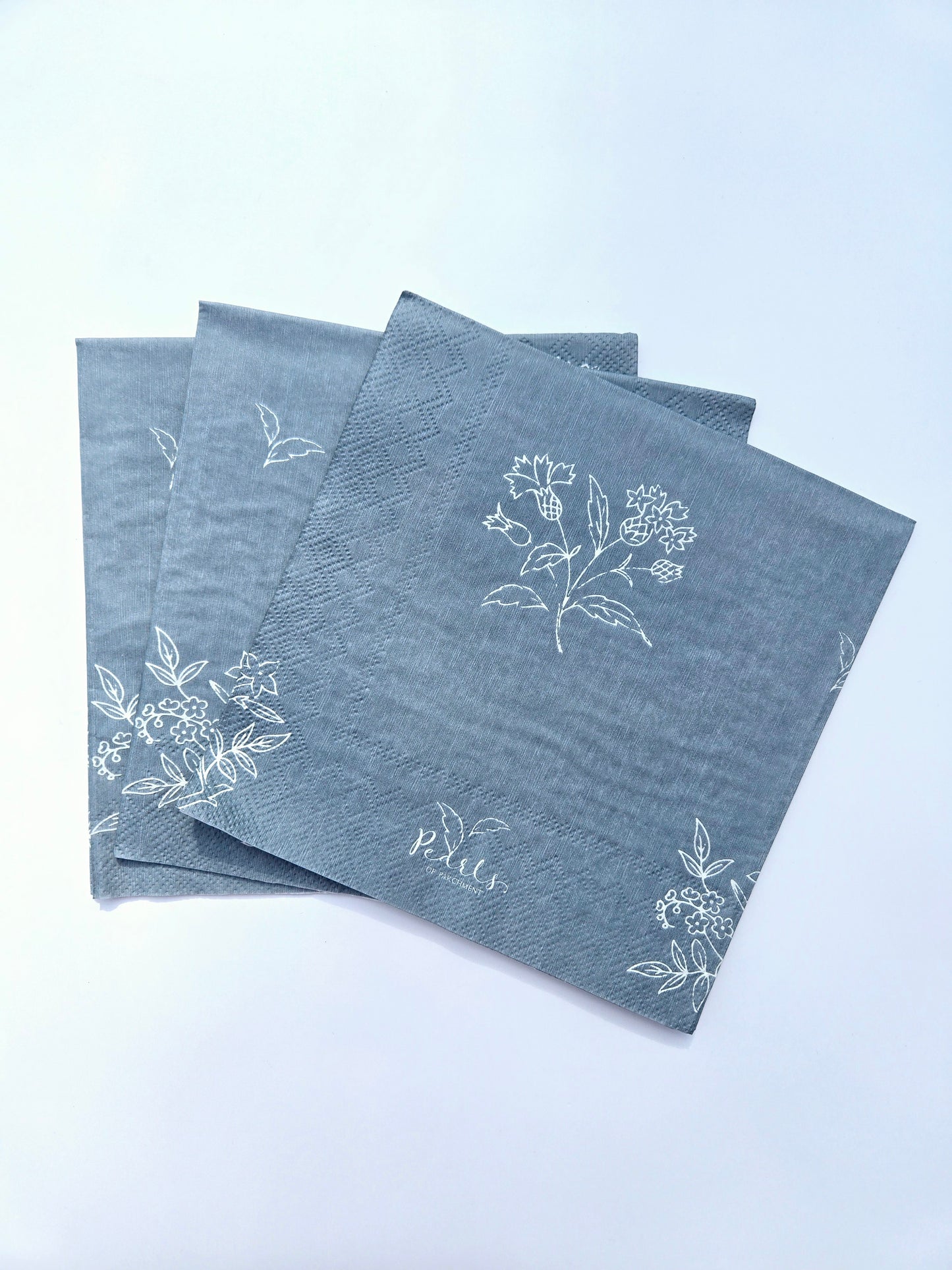 Rejoice In The Lord Paper Napkins | 20 ct Religious Napkins
